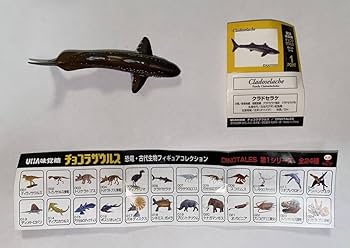 海洋堂チョコラザウルス恐竜フィギュアセット Amazon.co.jp: 〓海洋堂〓ダイノテイルズ チョコラザウス